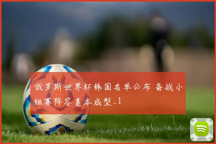 俄罗斯世界杯韩国名单公布 备战小组赛阵容基本成型_1