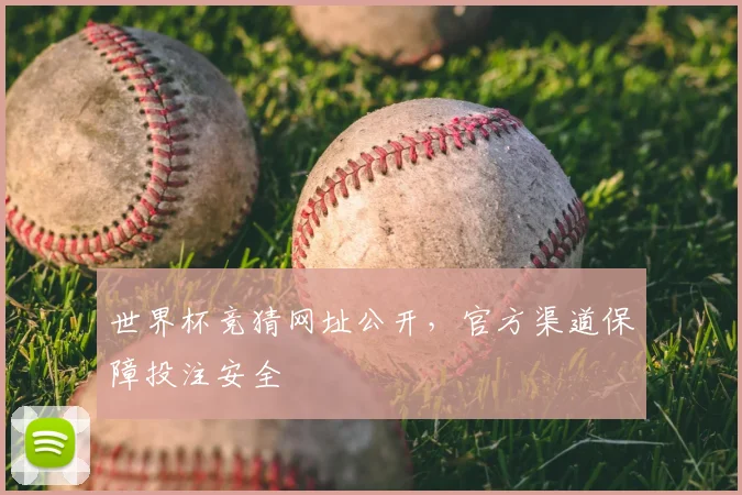 世界杯竞猜网址公开,官方渠道保障投注安全