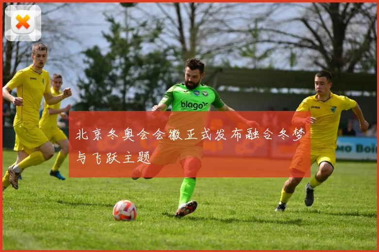 北京冬奥会会徽正式发布融合冬梦与飞跃主题