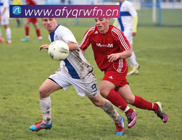 多媒体互动体验